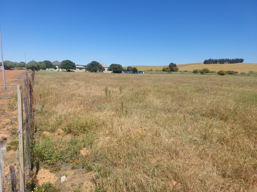 0 Bedroom Property for Sale in Moorreesburg Western Cape